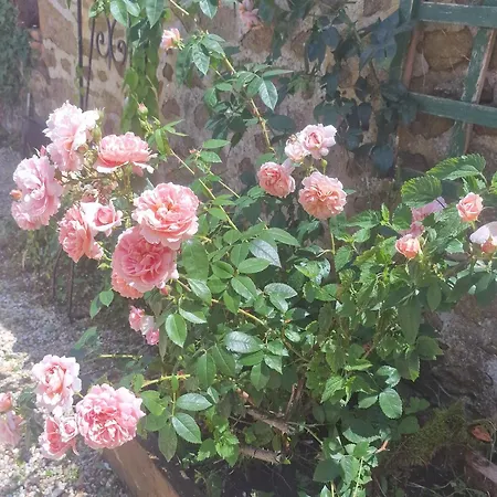 Casa de Férias L'etable Detente Salle En Supplement *