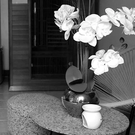 L'etable Detente Salle En Supplement * Vautorte