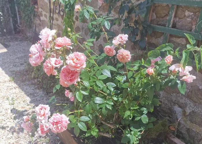 펜션 L'etable Detente Salle En Supplement *